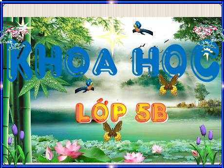 Bài giảng Khoa học Lớp 5 - Bài 17: Thái độ đối với người bị nhiễm HIV/AIDS - Năm học 2023-2024 - Phan Thị Quỳnh Trang