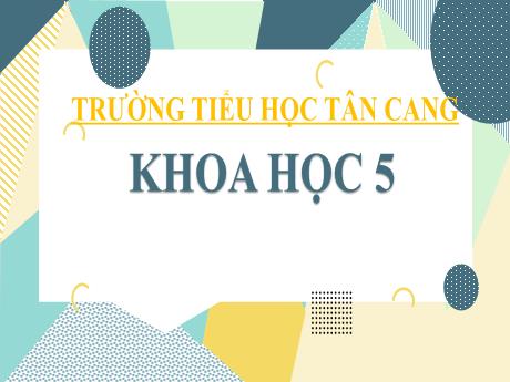 Bài giảng Khoa học Lớp 5 - Bài 18: Phòng tránh bị xâm hại - Năm học 2021-2022 - Võ Thị Hồng Hạnh