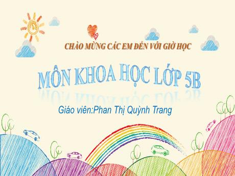 Bài giảng Khoa học Lớp 5 - Bài 19: Phòng tránh tai nạn giao thông đường bộ - Năm học 2023-2024 - Phan Thị Quỳnh Trang