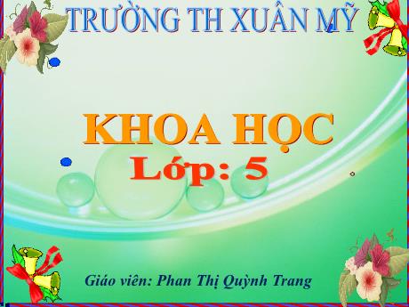 Bài giảng Khoa học Lớp 5 - Bài 65: Tác động của con người đến môi trường đất - Năm học 2023-2024 - Phan Thị Quỳnh Trang