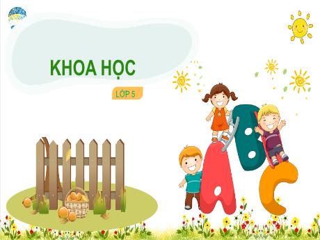 Bài giảng Lịch sử Lớp 5 - Bài 23: Sắt, gang, thép - Năm học 2023-2024 - Phan Thị Quỳnh Trang