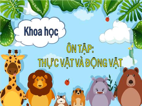 Bài giảng Lịch sử Lớp 5 - Bài 61: Ôn tập: Thực vật và động vật - Năm học 2023-2024 - Phan Thị Quỳnh Trang