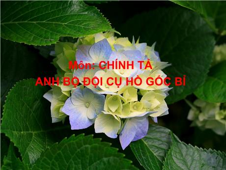 Bài giảng Tiếng Việt Lớp 5 (Chính tả) - Bài: Anh bộ đội cụ hồ gốc Bỉ - Năm học 2023-2024 - Võ Thị Hồng Hạnh