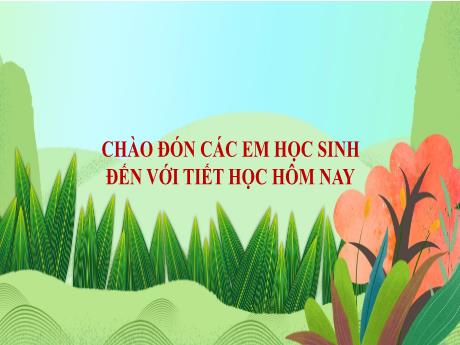 Bài giảng Tiếng Việt Lớp 5 (Luyện từ và câu) - Tuần 21, Bài: Trí dũng song toàn - Năm học 2023-2024 - Phan Thị Quỳnh Trang