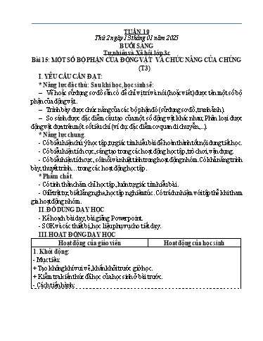 Kế hoạch bài dạy Tự nhiên và Xã hội Tiểu học (Kết nối tri thức) - Tuần 19 - Năm học 2024-2025 - Hà Văn Sơn