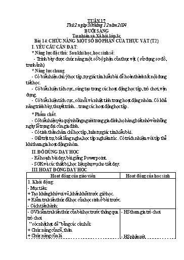 Kế hoạch bài dạy Tự nhiên và Xã hội Tiểu học (Kết nối tri thức) - Tuần 17 - Năm học 2024-2025 - Hà Văn Sơn