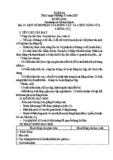 Kế hoạch bài dạy Tự nhiên và Xã hội Tiểu học (Kết nối tri thức) - Tuần 18 - Năm học 2024-2025 - Hà Văn Sơn