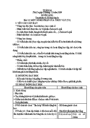 Kế hoạch bài dạy Tự nhiên và Xã hội Tiểu học (Kết nối tri thức) - Tuần 16 - Năm học 2024-2025 - Hà Văn Sơn